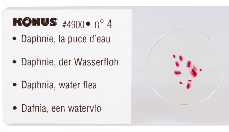 Набор микропрепаратов Konus 10: «Потрясающий мир в капле воды»