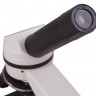 Микроскоп Levenhuk Rainbow D2L, 0,3 Мпикс, Moonstone\Лунный камень